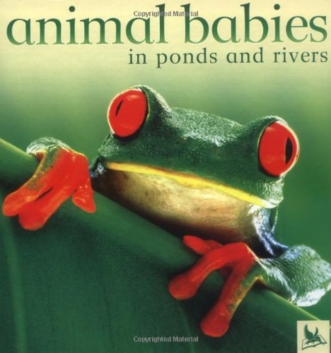 Animal Babies in Ponds and Rivers