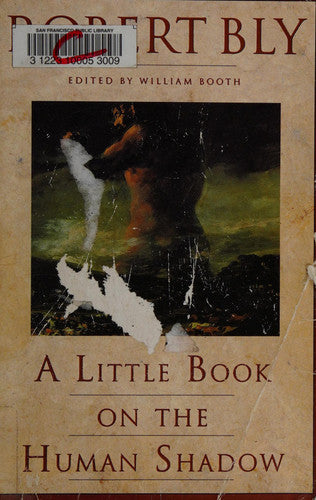 A Little Book on the Human Shadow