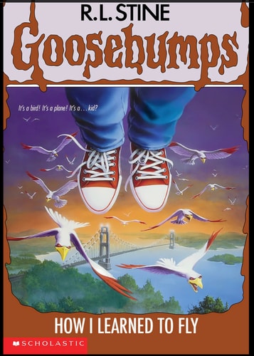 How I Learned to Fly