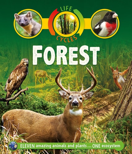 Life Cycles: Forest
