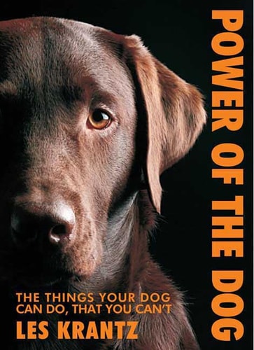 Power of the Dog Things Your Dog Can Do That You Can't