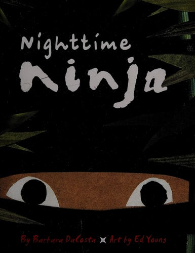 Nighttime Ninja