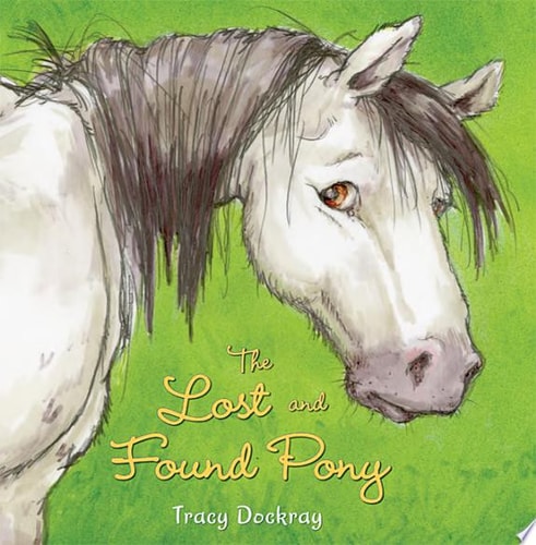 The Lost and Found Pony