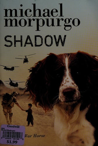 Shadow
