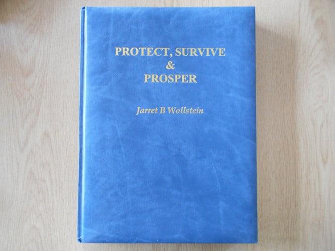 Protect, Survive and Prosper: Surviving The Seven Millennium Crises