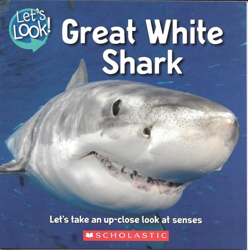 Let's Look! Great White Shark