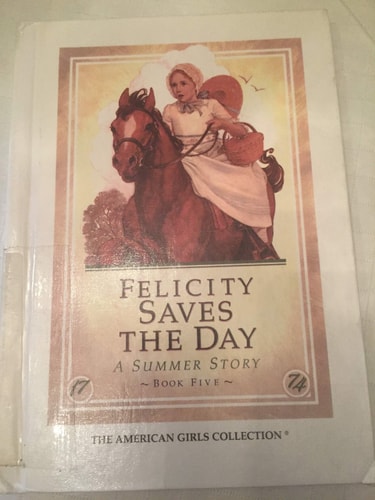 Felicity Saves the Day A Summer Story