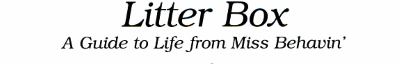 A View from the Litter Box: A Guide to Life from Miss Behavin'