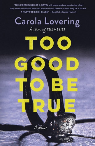 Too Good to Be True A Novel