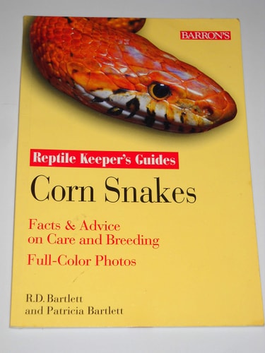 Corn Snakes