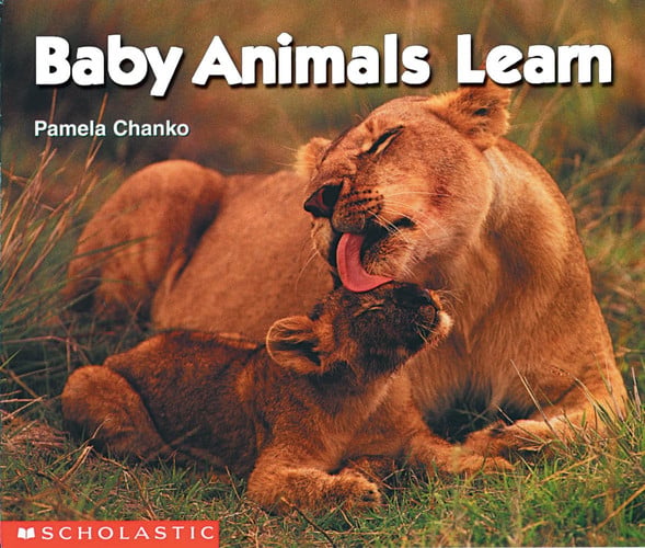 Baby Animals Learn (Science Emergent Reader)