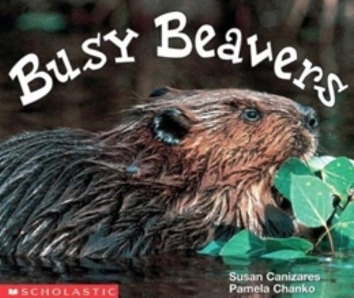 Busy Beavers (Emergent Readers)