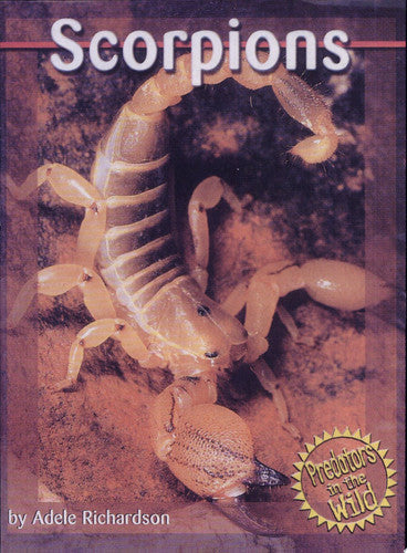 Scorpions (Predators in the Wild)
