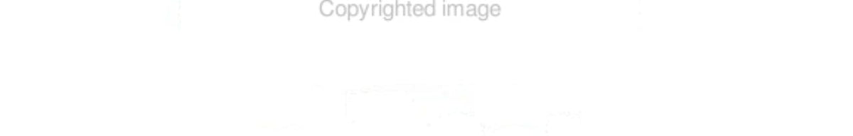 Girls Who Rocked the World by Amelie Welden (1998) Paperback