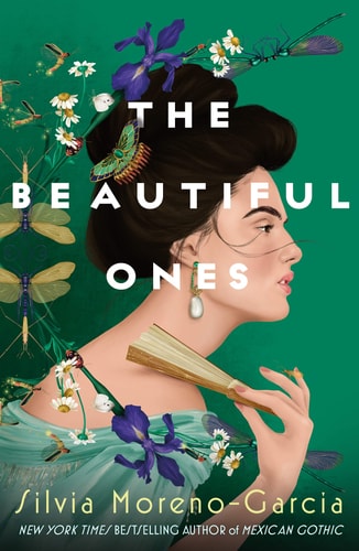 The Beautiful Ones A Novel