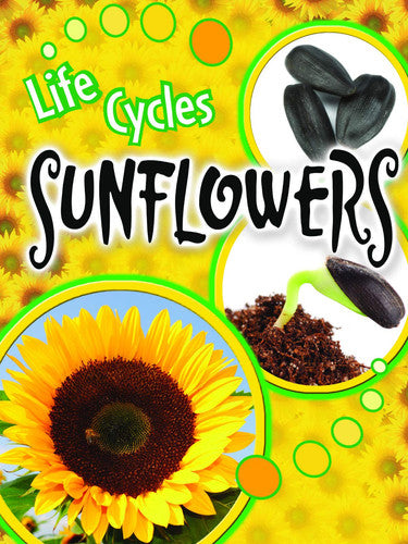 Sunflowers (Life Cycles)