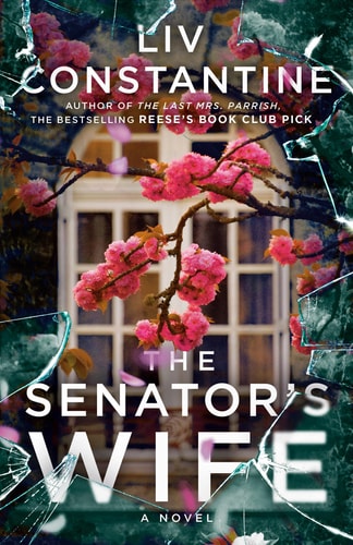 The Senator's Wife A Novel