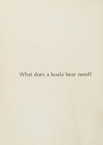 What Does a Koala Bear Need