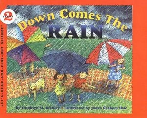 Down Comes the Rain