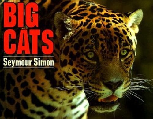 Big cats