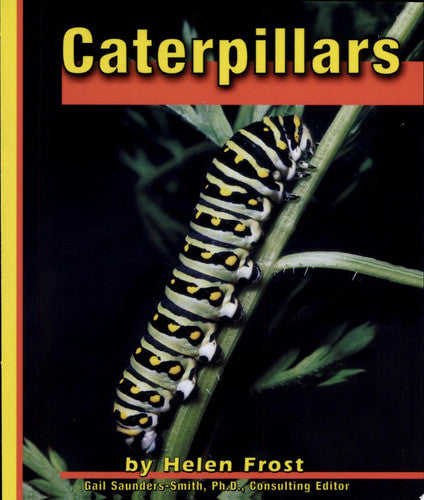 Caterpillars (Butterflies)