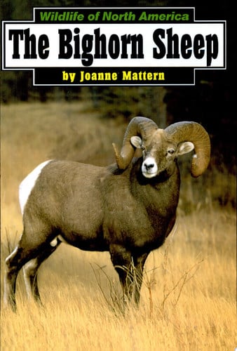 The Bighorn Sheep (Wildlife of North America)
