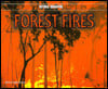 Forest Fires (Natural Disasters)