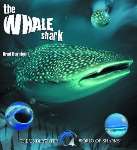 The Whale Shark (The Underwater World of Sharks)