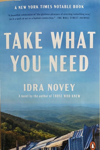 Take What You Need A Novel