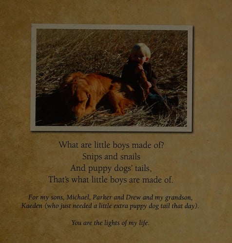 Just Sons: The Mischief, Mayhem and Marvel of Boys