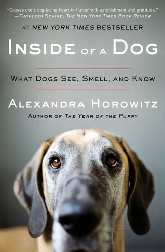Inside of a Dog What Dogs See, Smell, and Know
