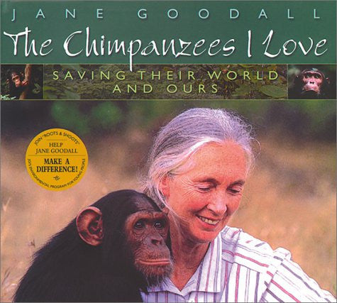The chimpanzees I love: saving their world and ours