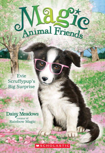 Evie Scruffypup's Big Surprise (Magic Animal Friends #10)