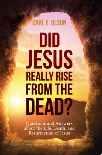 Did Jesus Really Rise from the Dead?: Questions and Answers about the Life, Death, and Resurrection of Jesus