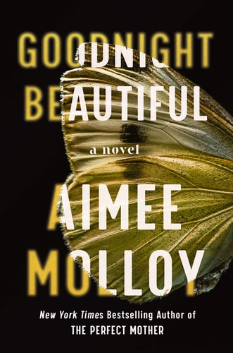 Goodnight Beautiful A Novel