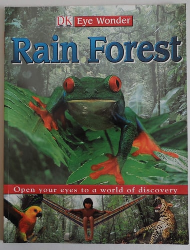 Rain Forest