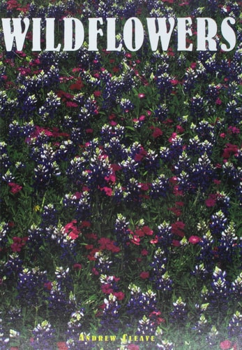 Wildflowers (Exploring Nature)