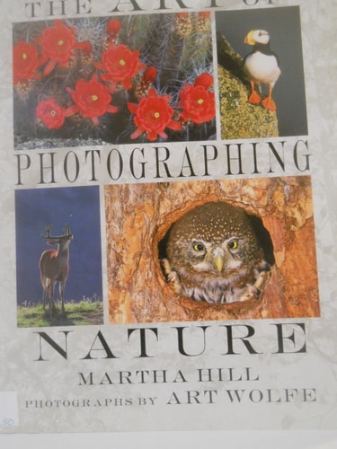The Art of Photographing Nature