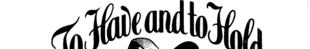 My Darling Detective (To Have and to Hold, No. 34)
