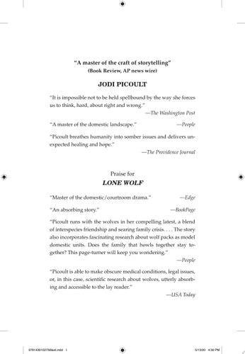 Lone Wolf A Novel