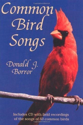 Common Bird Songs