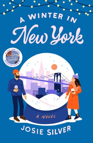 A Winter in New York A Novel