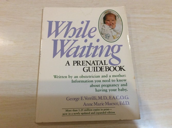 While Waiting: A Prenatal Guidebook