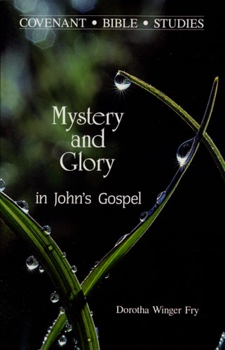 Mystery & Glory in John's Gospel (Covenant Bible Studies Series)