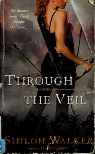 Through the Veil (A Veil Novel)