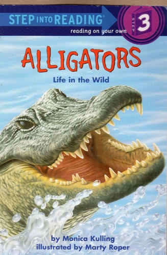 Alligators Life in the Wild