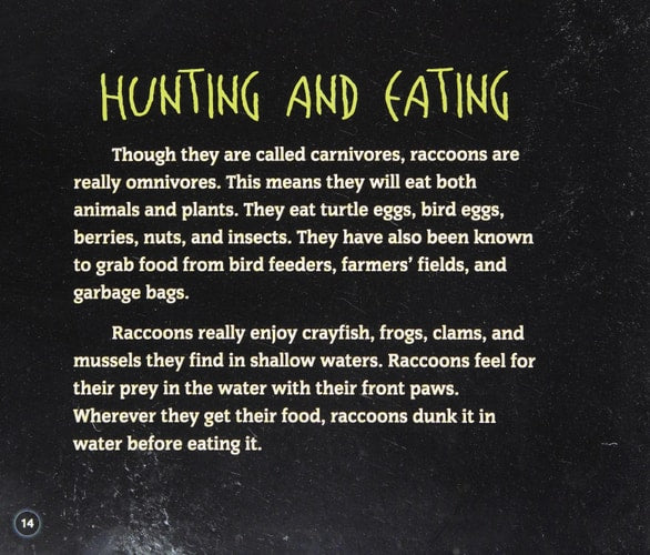 Hunters of the Night