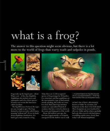 Frog: A Photographic Portrait