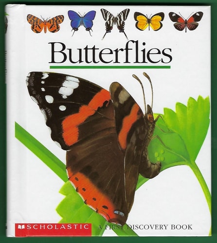 Butterflies