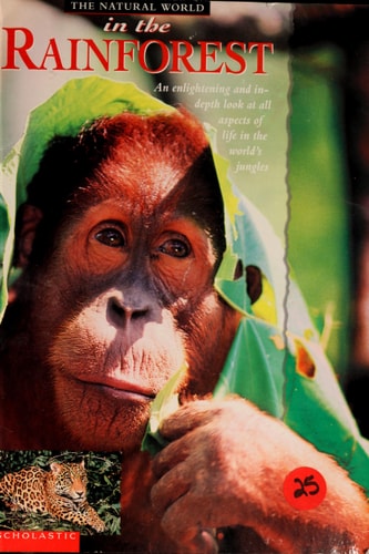 In the Rainforest (The natural world)